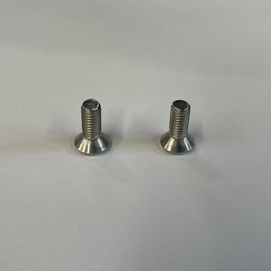 Rear view mirror screws