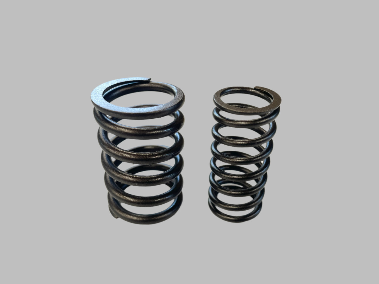 1275 Valve Spring Set
