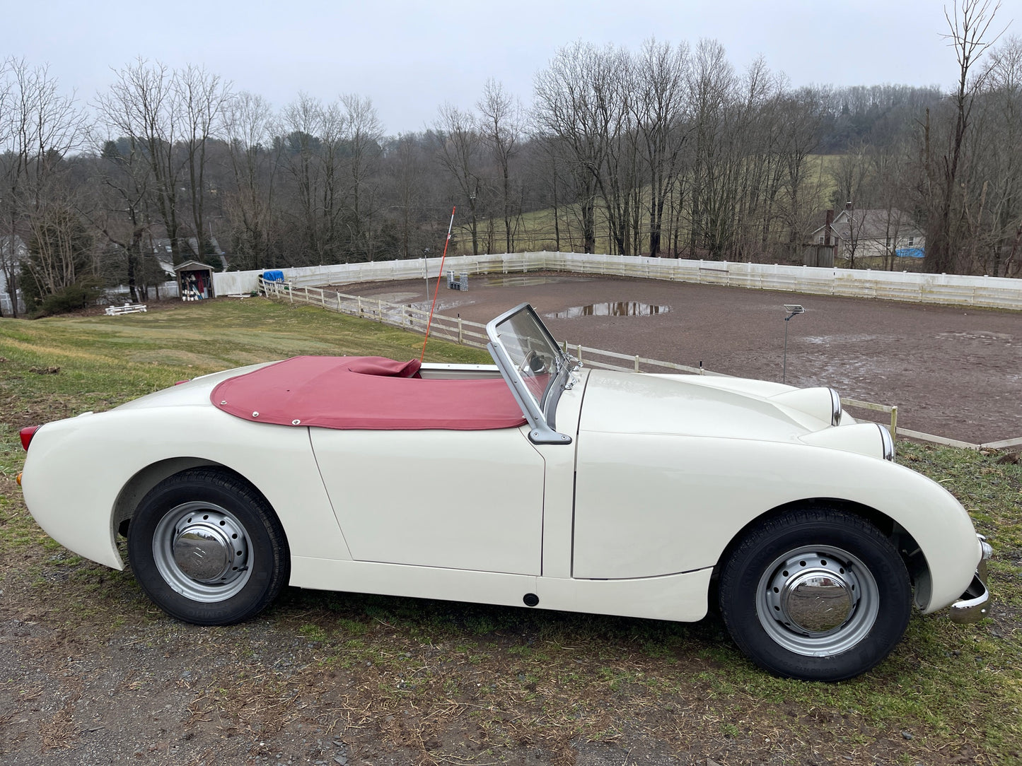 "AH" Reproduction Original Bugeye Sprite Hub Cap