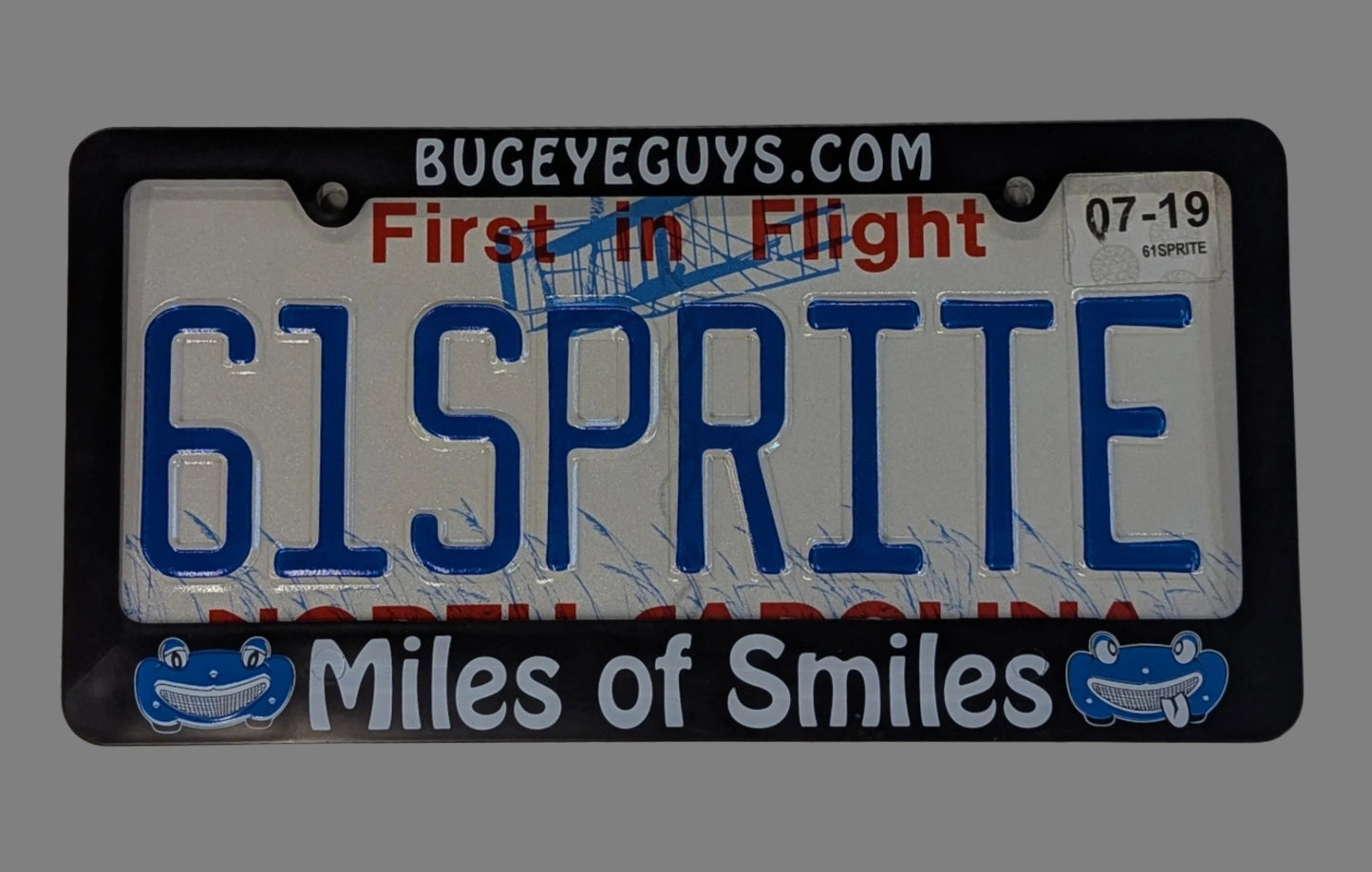 Bugeyeguys License Plate Frame