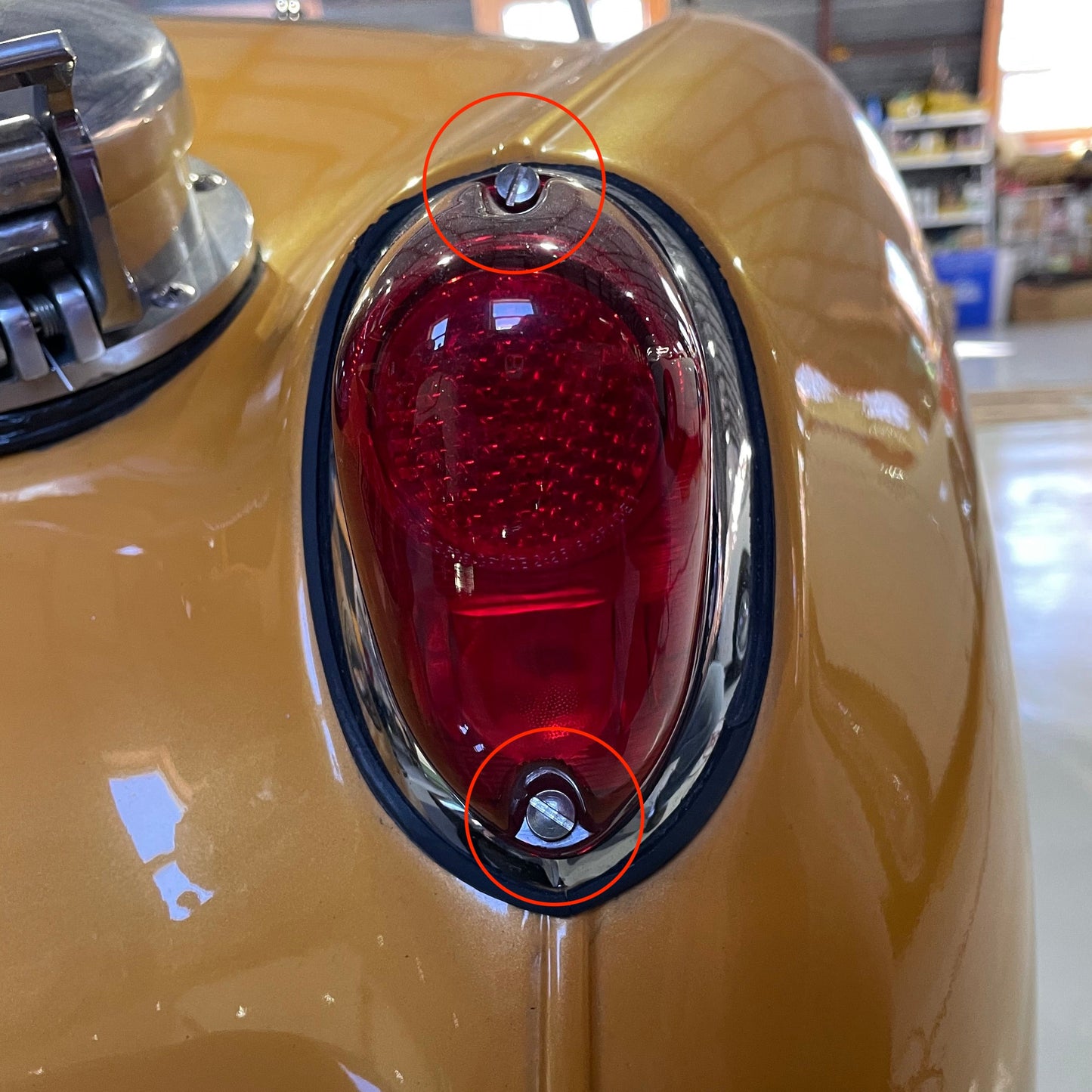 Tail light lens screw, stainless (sold individually)