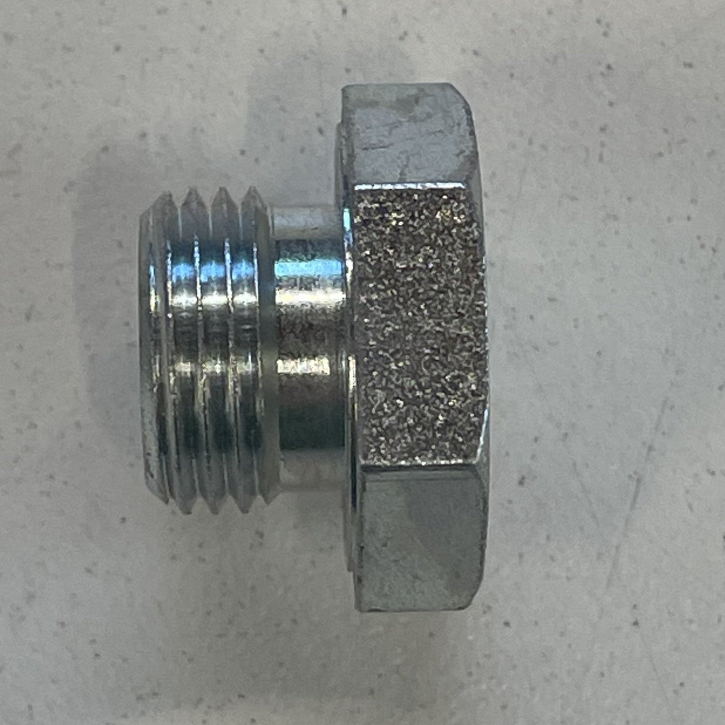 Radiator blanking plug