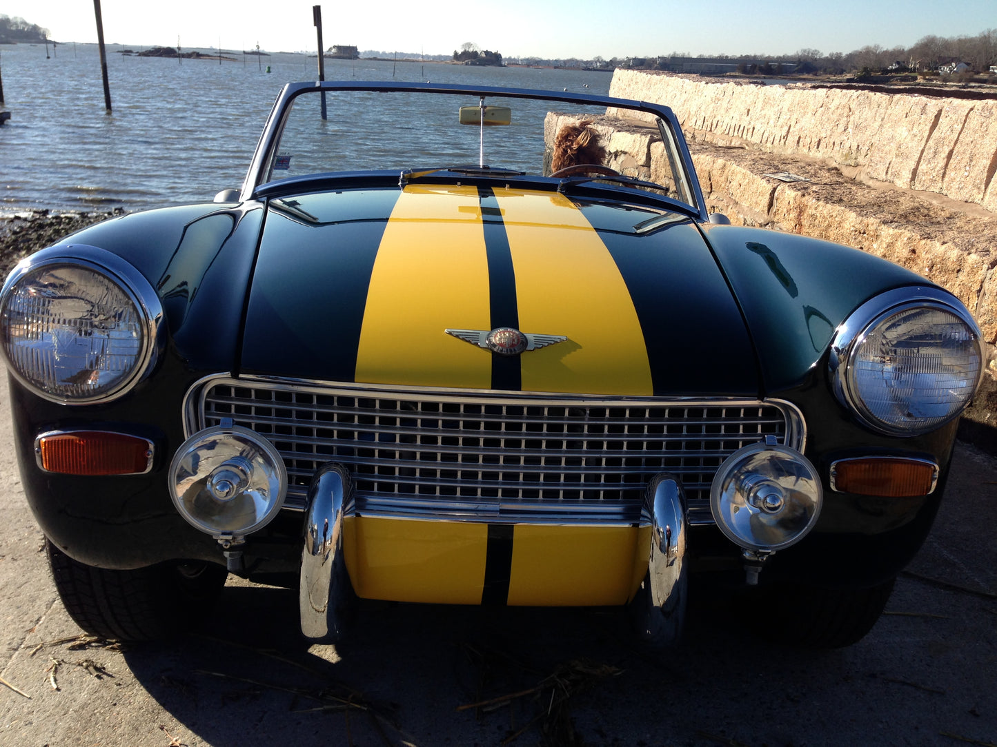 Spridget Grille Assembly