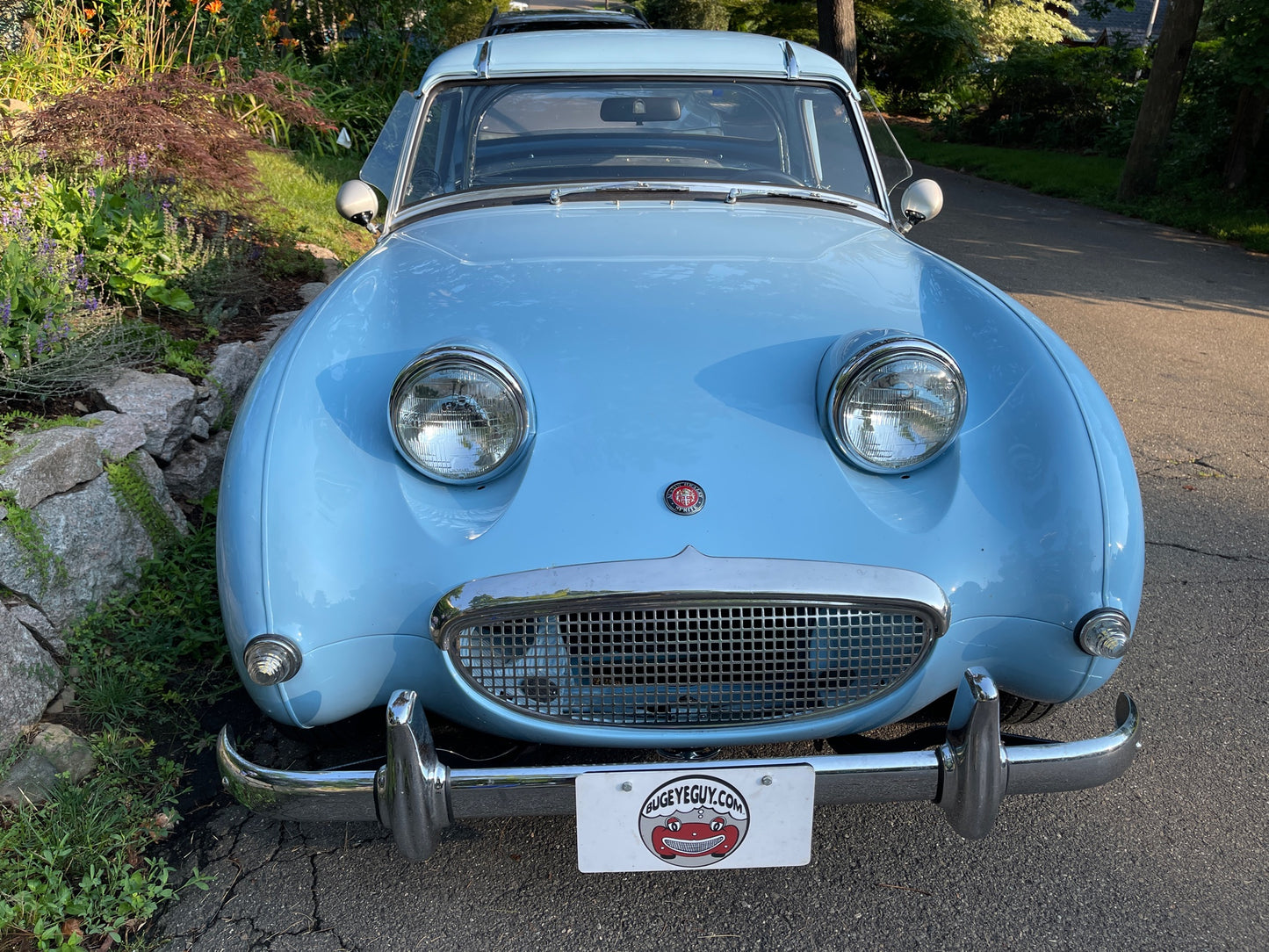 Bug Wings (Bugeye thru 1962)