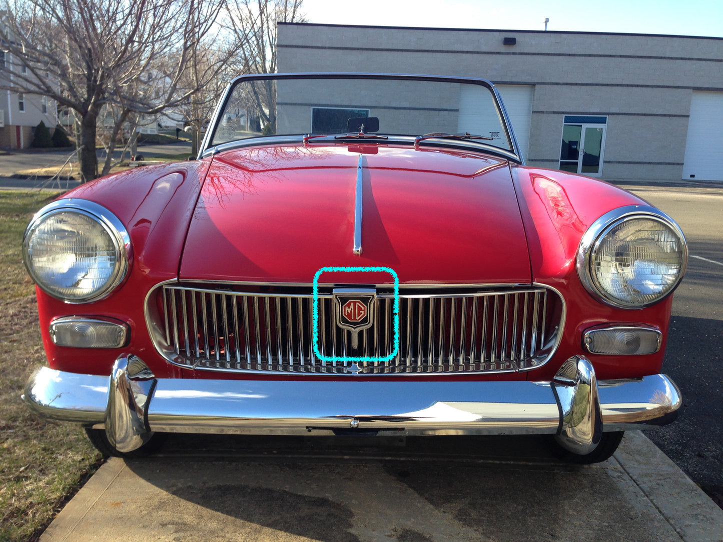 MG Grill Badge ('61-'69)