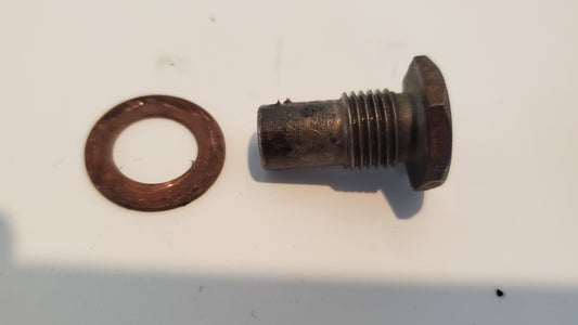 Transmission control shaft damper plug, used with used copper washer