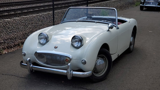 Deposit to purchase "Lamb" the Bugeye (NON-REFUNDABLE)