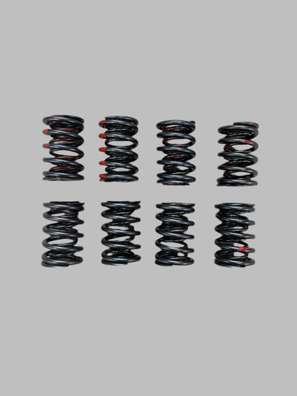 948 Valve Spring Set