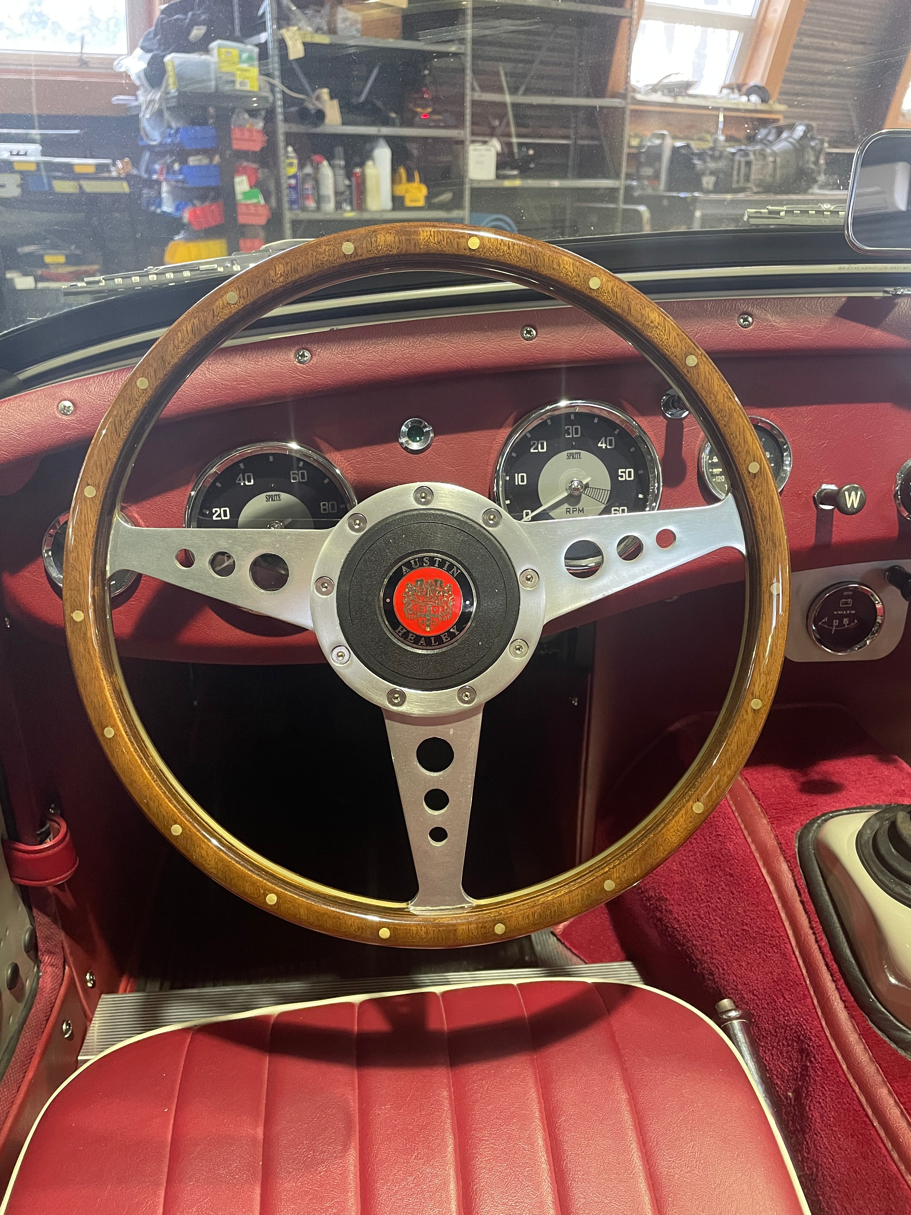 Austin Healey Rotor Button Austin-Healey Plastic Horn Push (All 9-bolt Steering Wheels) – Bugeyeguys