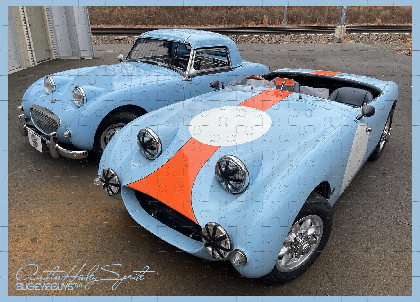Bugeye Puzzle