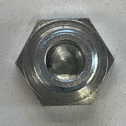 Radiator blanking plug